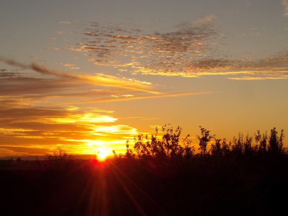 SAMSUNG CAMERA PICTURES